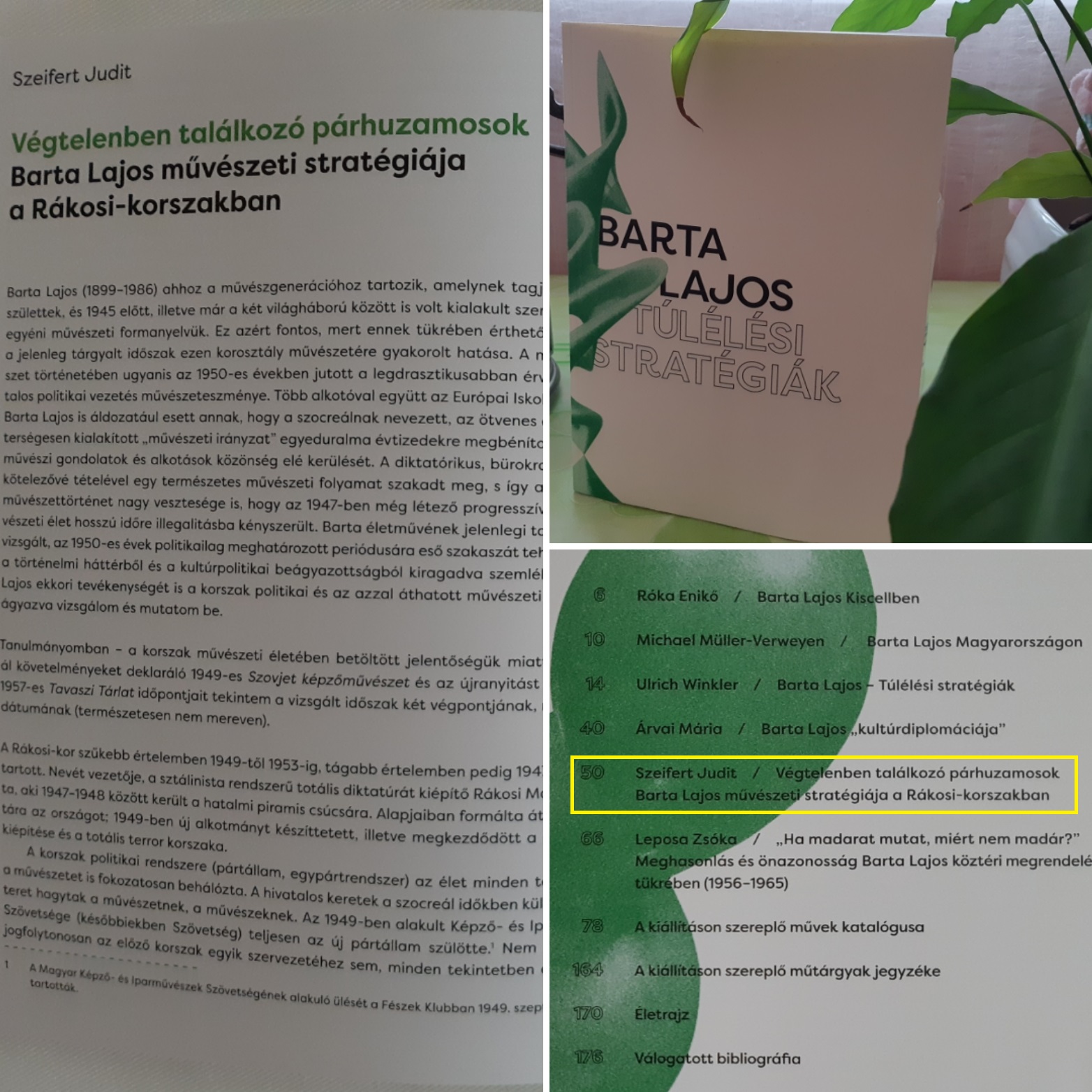 IMG_20190624_180650[1]