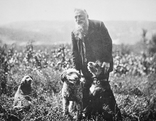 Auguste Rodin with Hounds