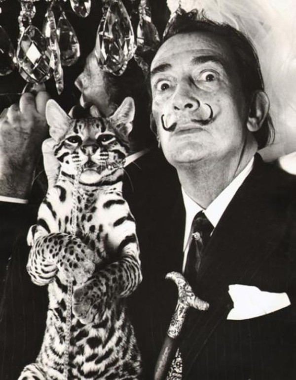 dali-and-ocelot-wild-cat