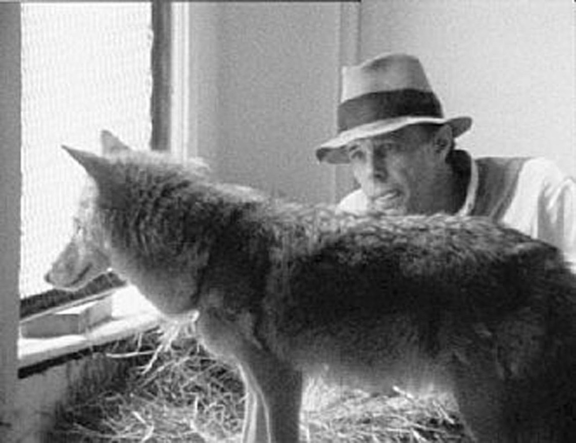joseph-beuys- I like-america-and-america-likes-me performance-1974