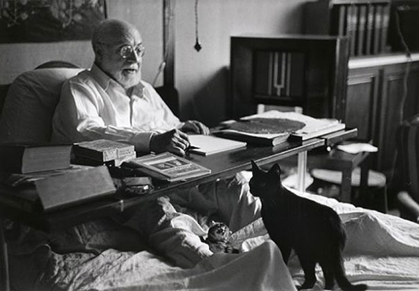 Matisse with his cat