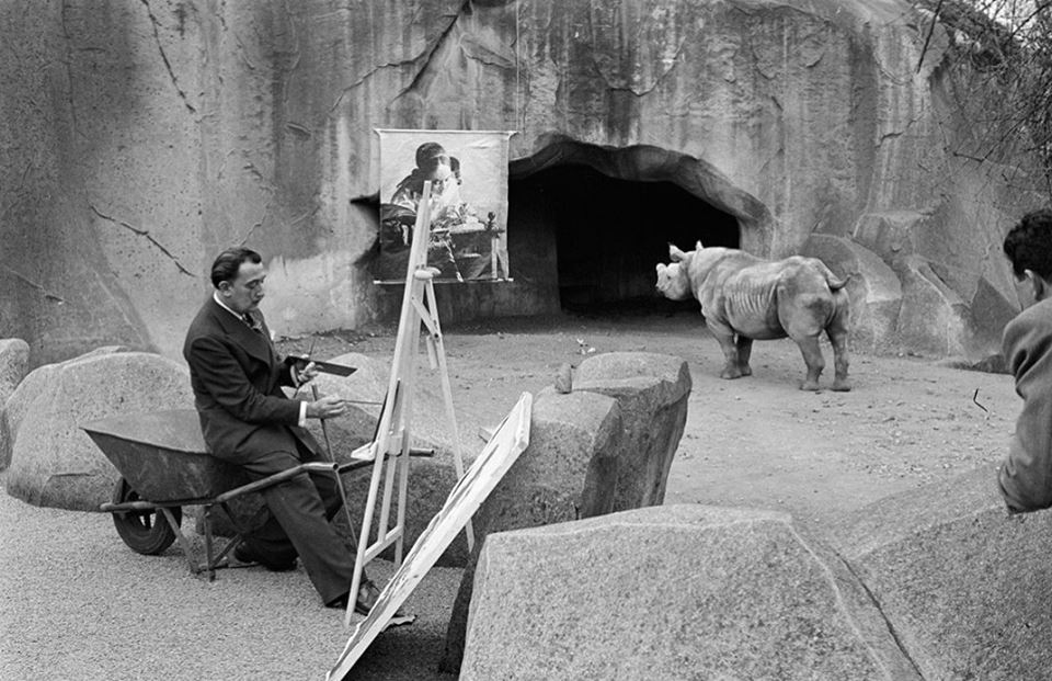 Salvador Dalí at work in Vincennes Zoo 1955