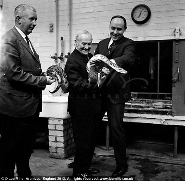 unknown-joan-miro-desmond-morris-and-snake-london-zoo-england-1964-by-lee-miller