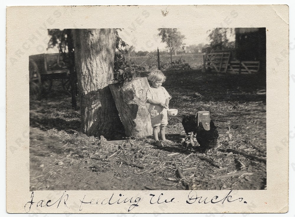Jackson Pollock feeding ducks, 1914.jpg