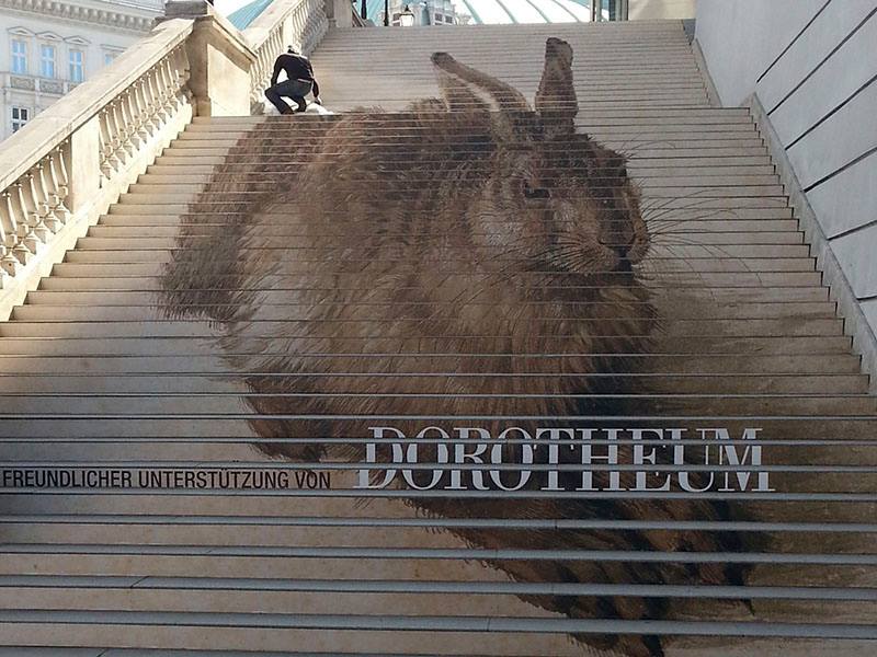 Dürer's Young Hare at stars of Albertina Museum, Vienna