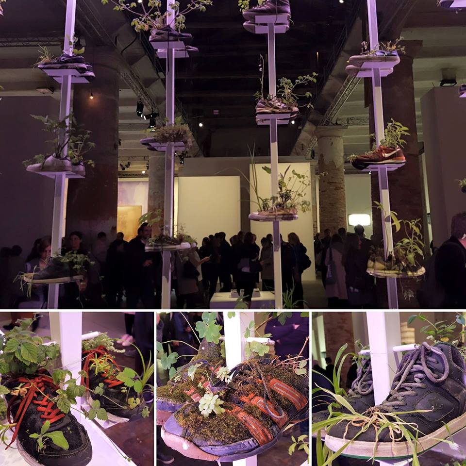 Michel Blazy (born in Monaco 1966, lives and works in Paris)_Collection de Chaussures 2015-2017