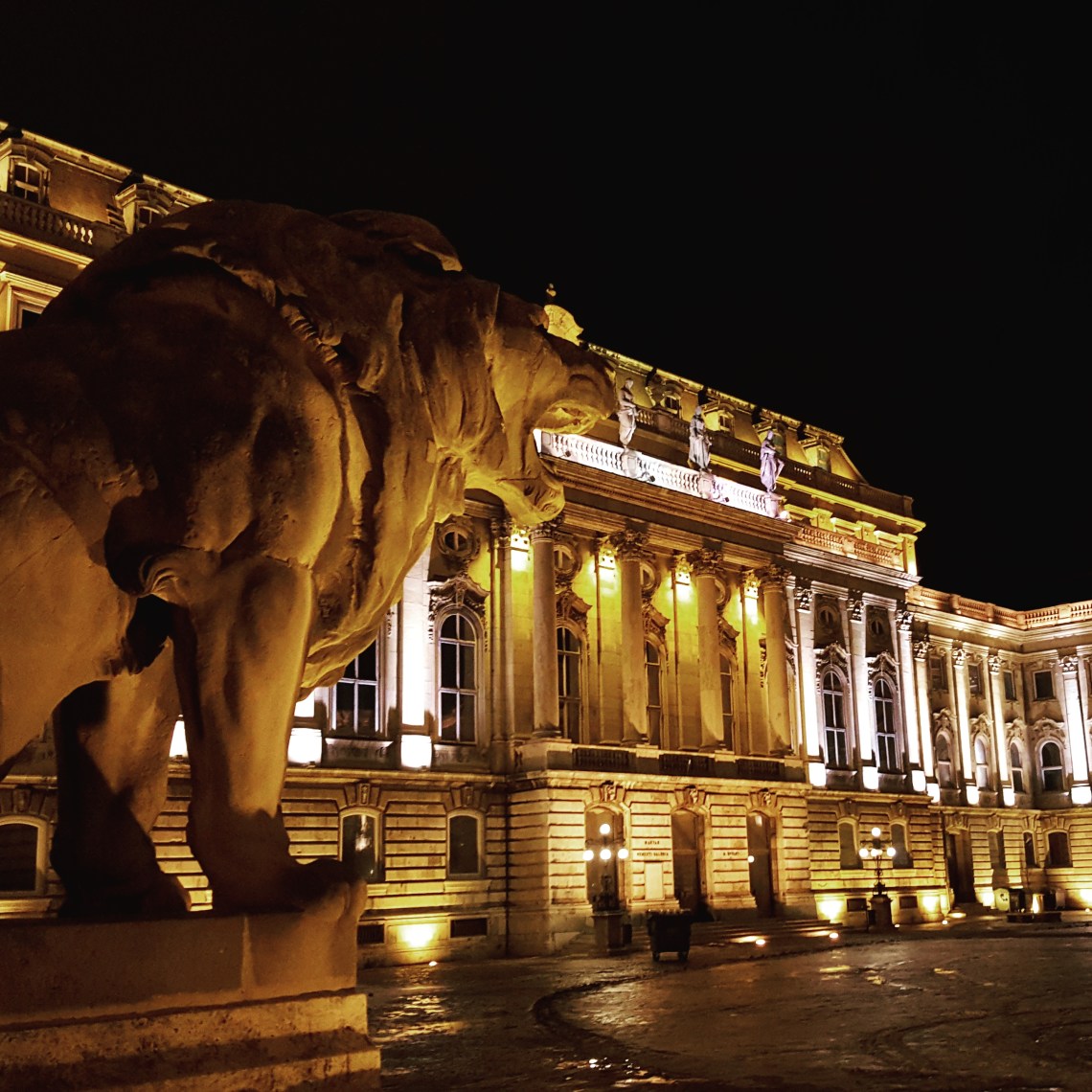 IMG_20170203_181114_228