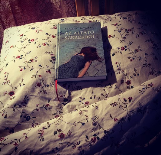 IMG_20171013_000103_787[1]